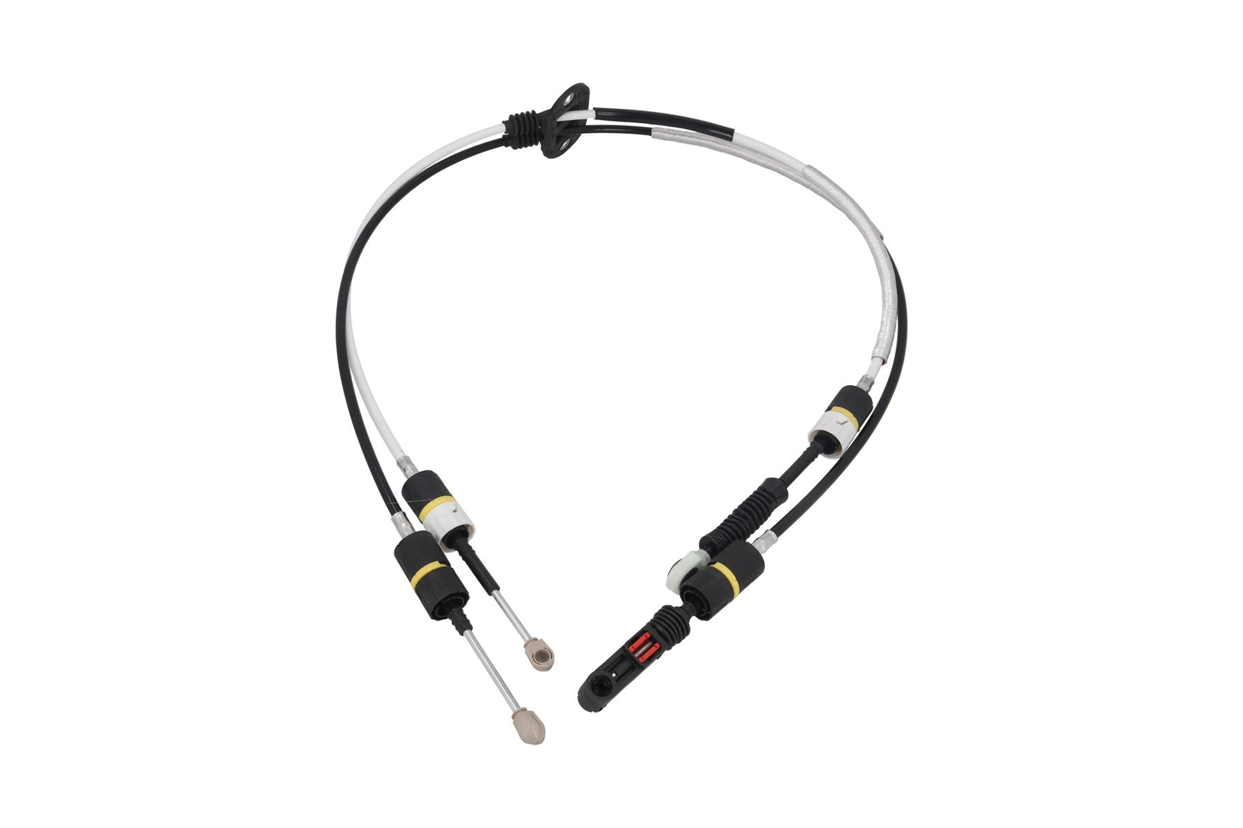 KAMOKA CP0113