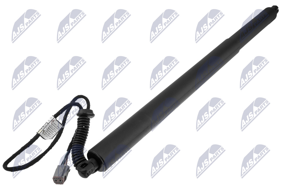 NTY AE-FR-081