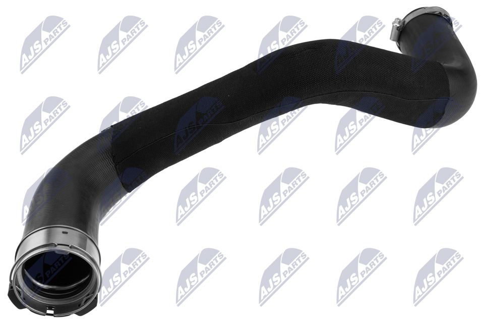 NTY GPP-CH-019