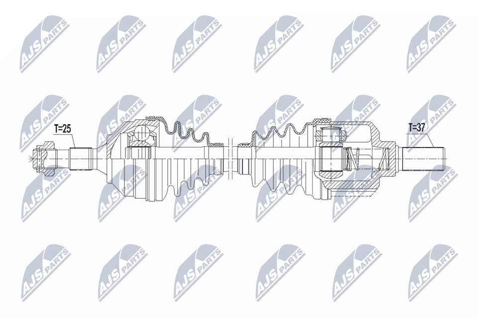 NTY NPW-CT-154