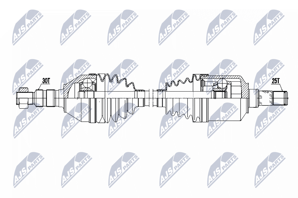 NTY NPW-FT-099