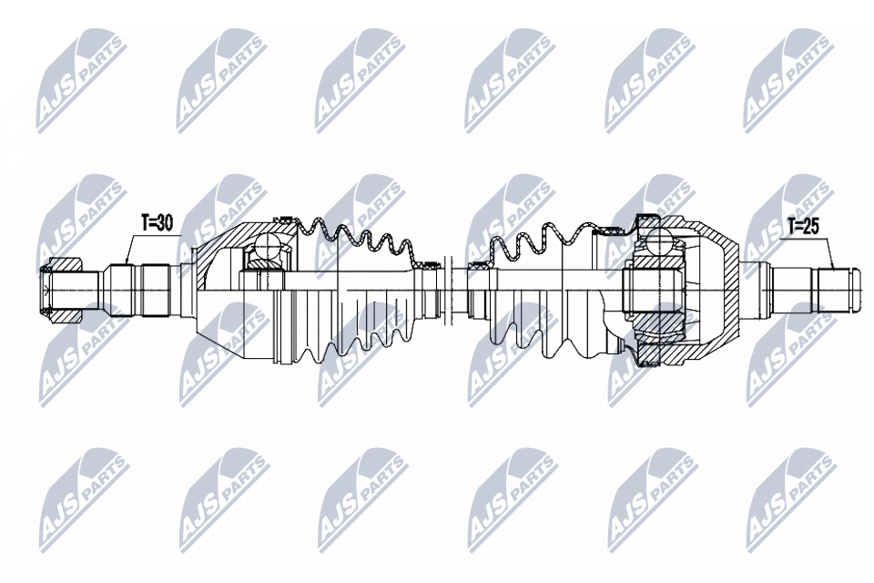 NTY NPW-PL-170
