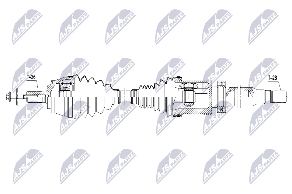 NTY NPW-VV-163