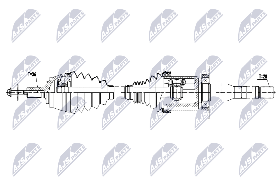 NTY NPW-VV-165