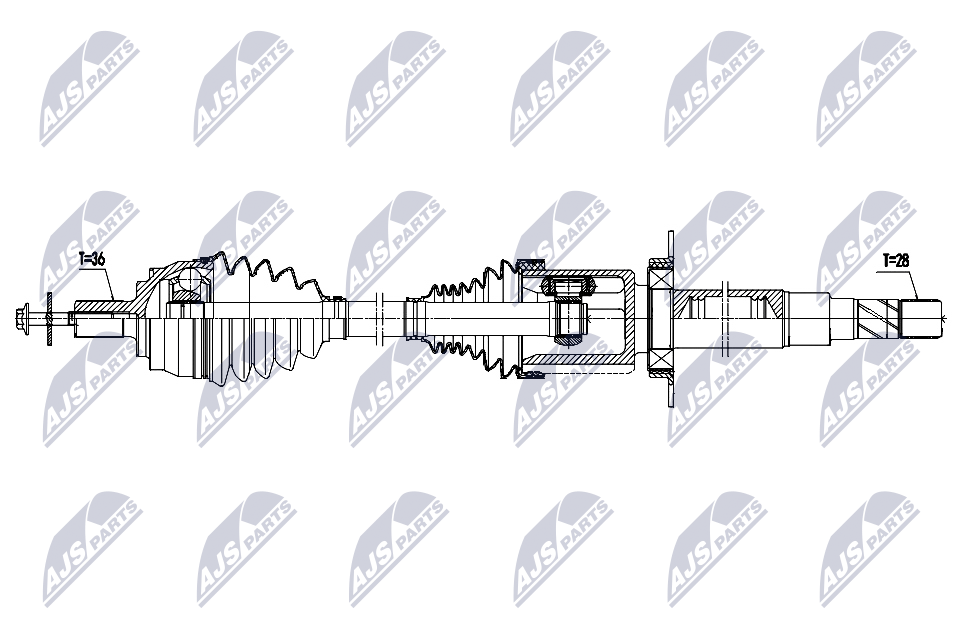 NTY NPW-VV-171