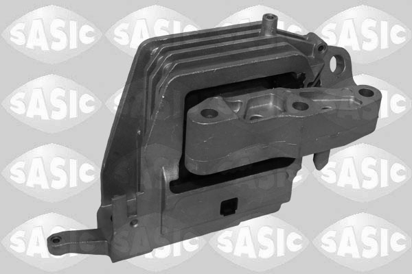 SASIC 2700173