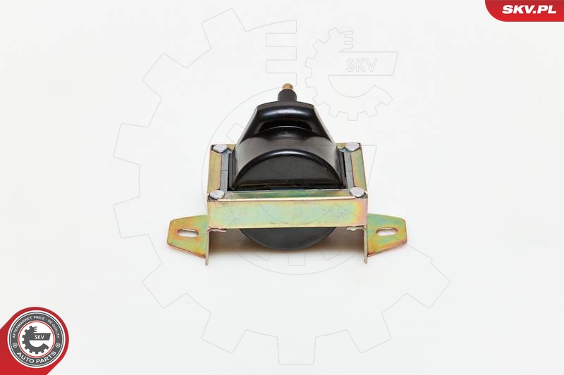 SKV 03SKV119