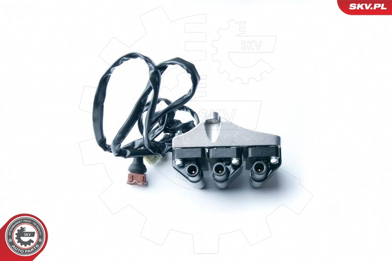 SKV 03SKV217