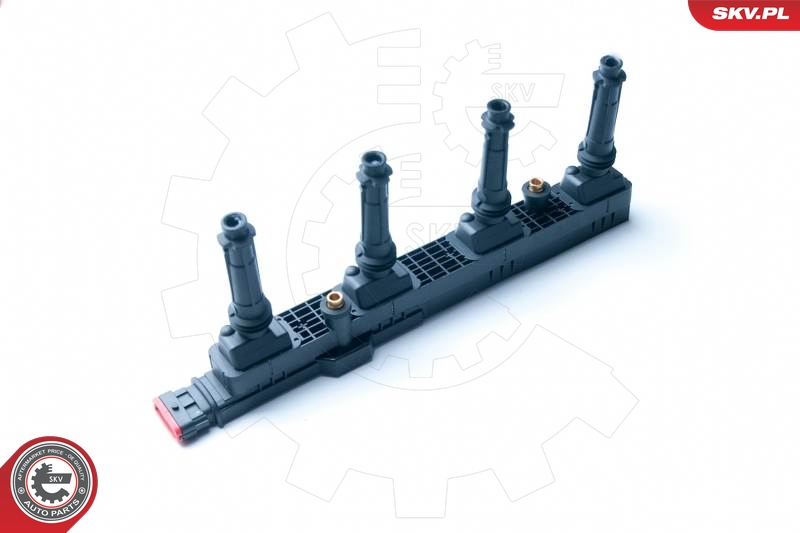 SKV 03SKV245