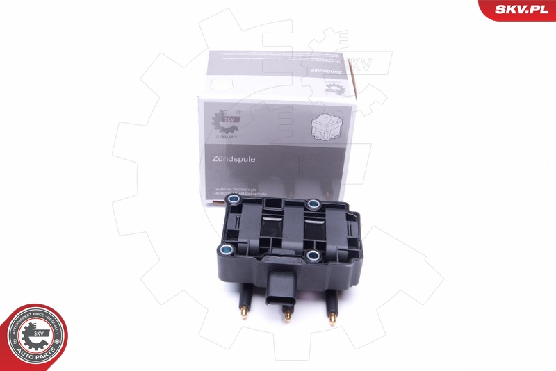 SKV 03SKV248