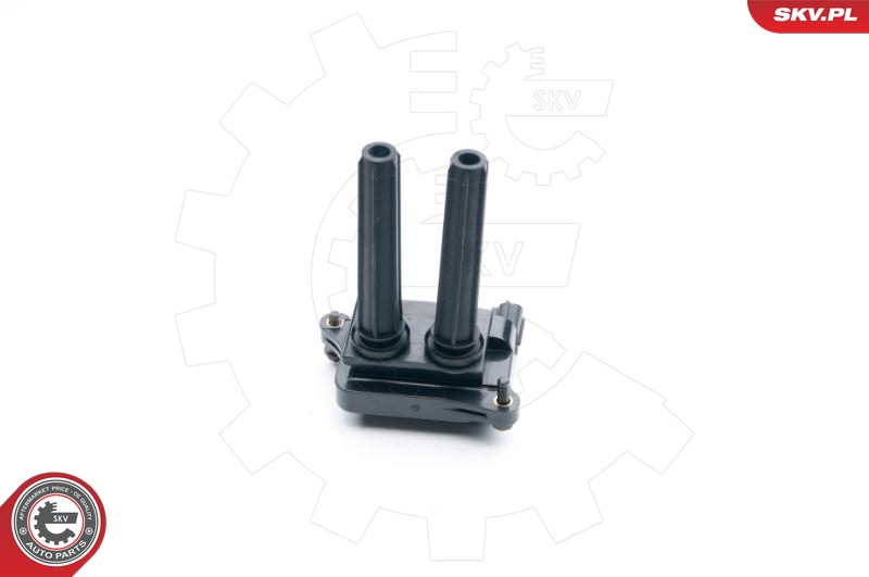 SKV 03SKV250