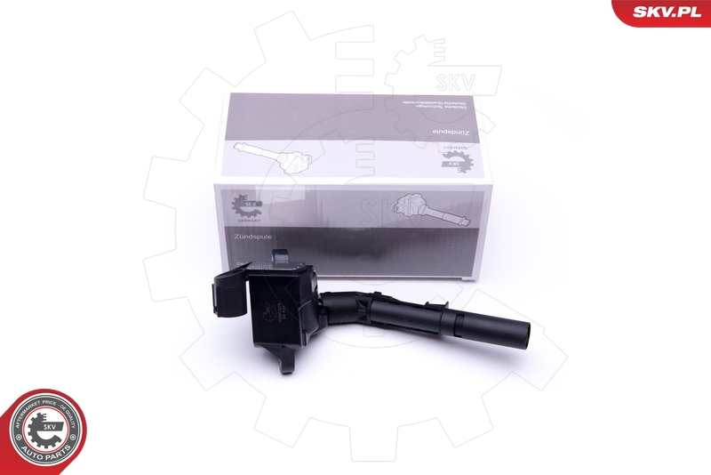 SKV 03SKV279