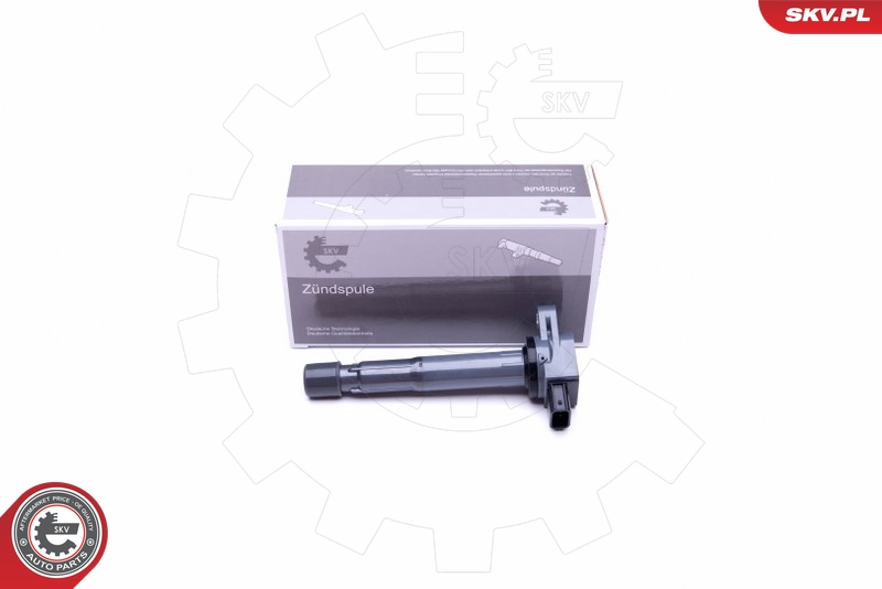 SKV 03SKV307