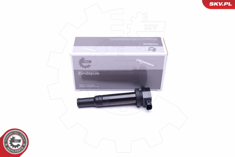 SKV 03SKV315