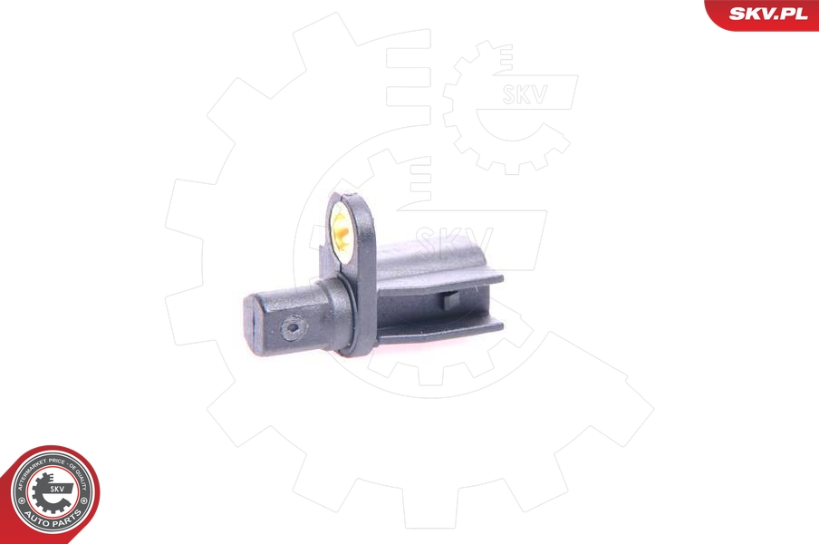 SKV 06SKV004