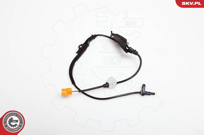 SKV 06SKV163