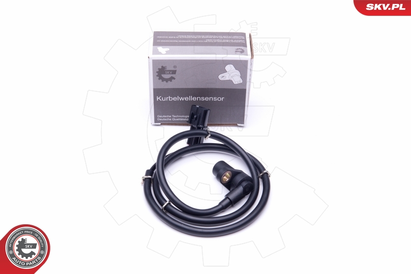 SKV 06SKV217
