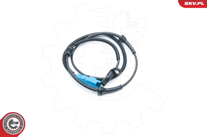 SKV 06SKV273