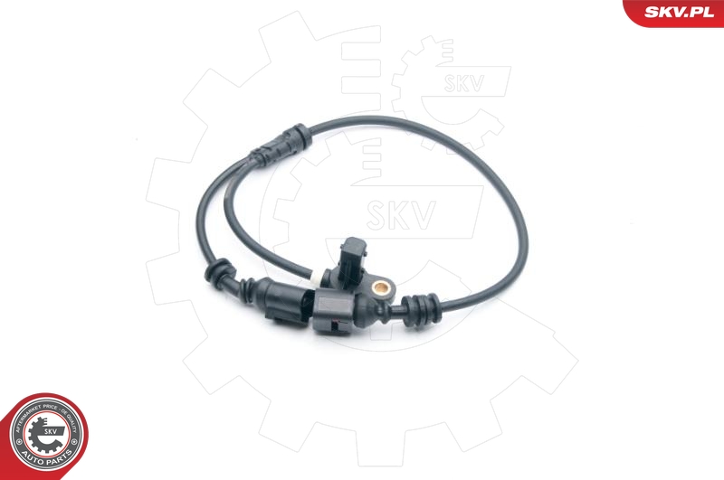 SKV 06SKV276
