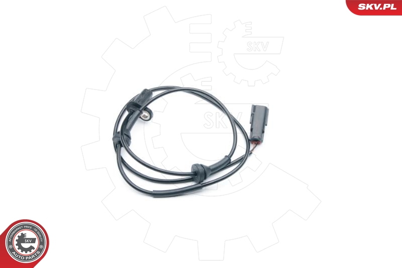 SKV 06SKV288