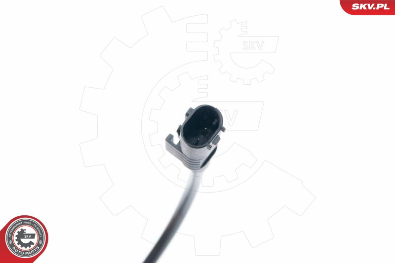 SKV 06SKV296