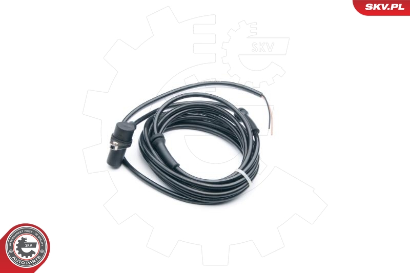 SKV 06SKV301