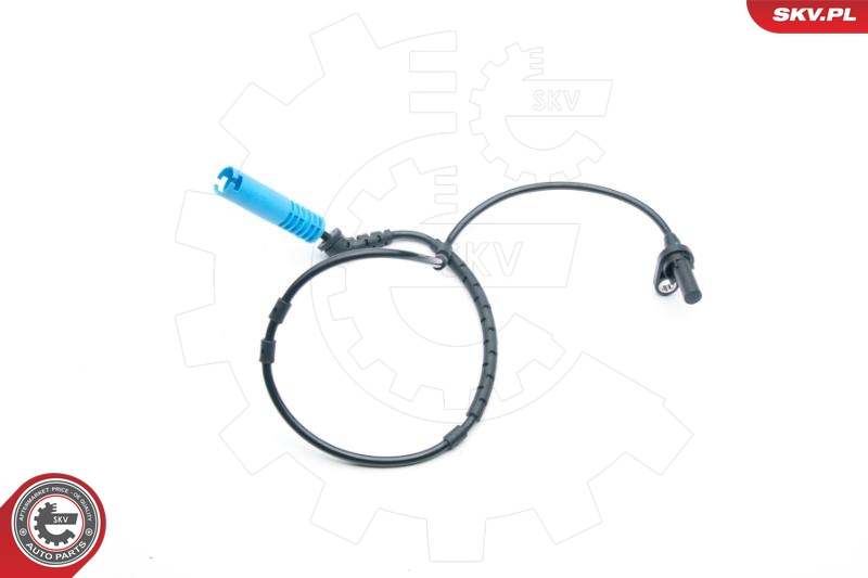 SKV 06SKV313