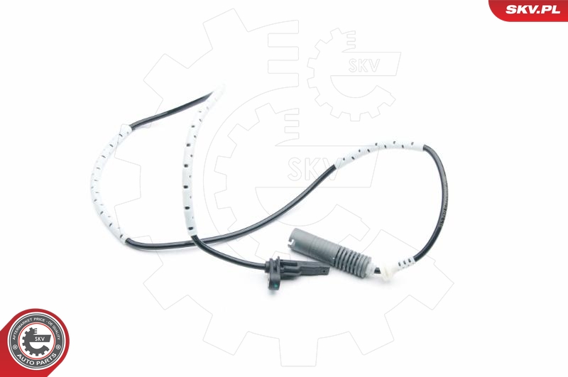 SKV 06SKV315