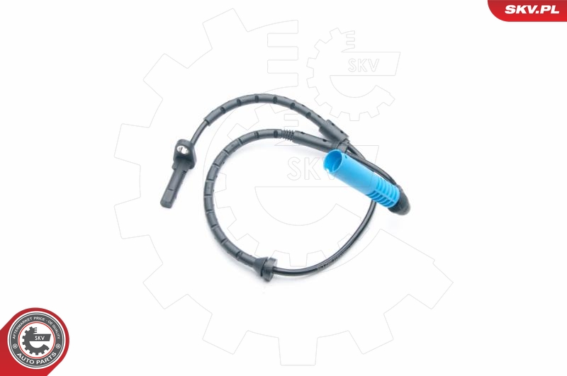 SKV 06SKV317