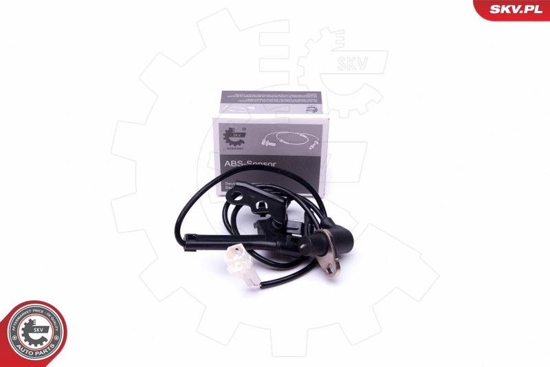 SKV 06SKV393