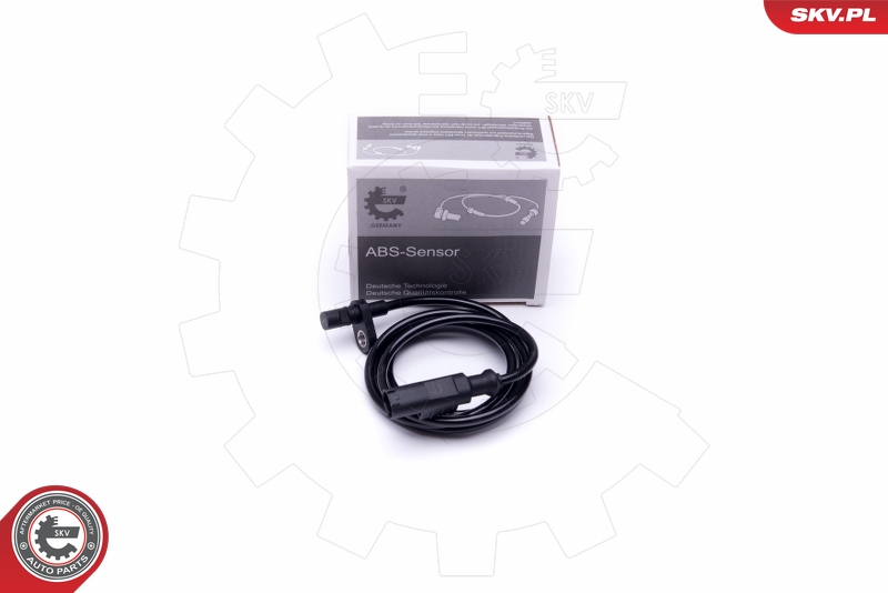 SKV 06SKV413