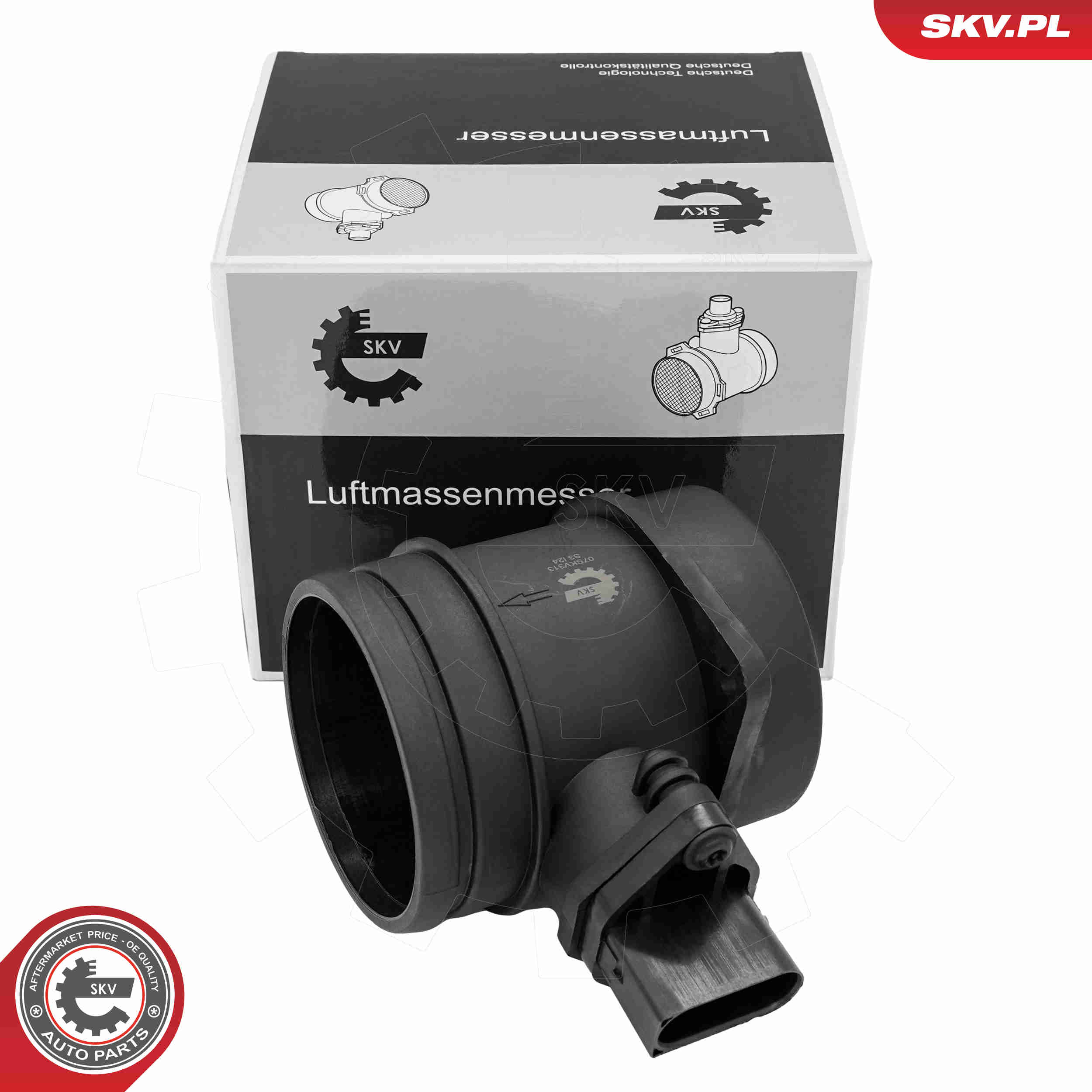 SKV 07SKV313