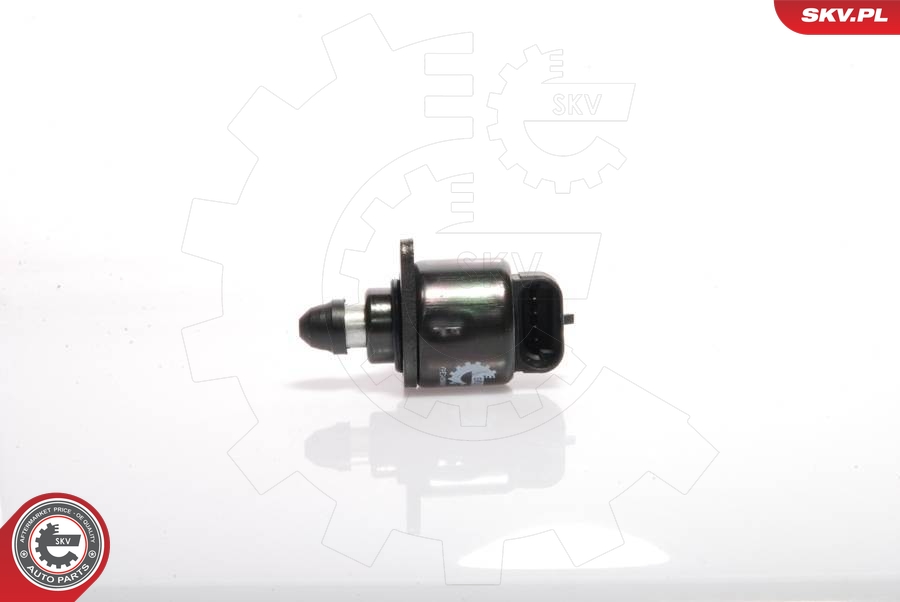 SKV 08SKV019