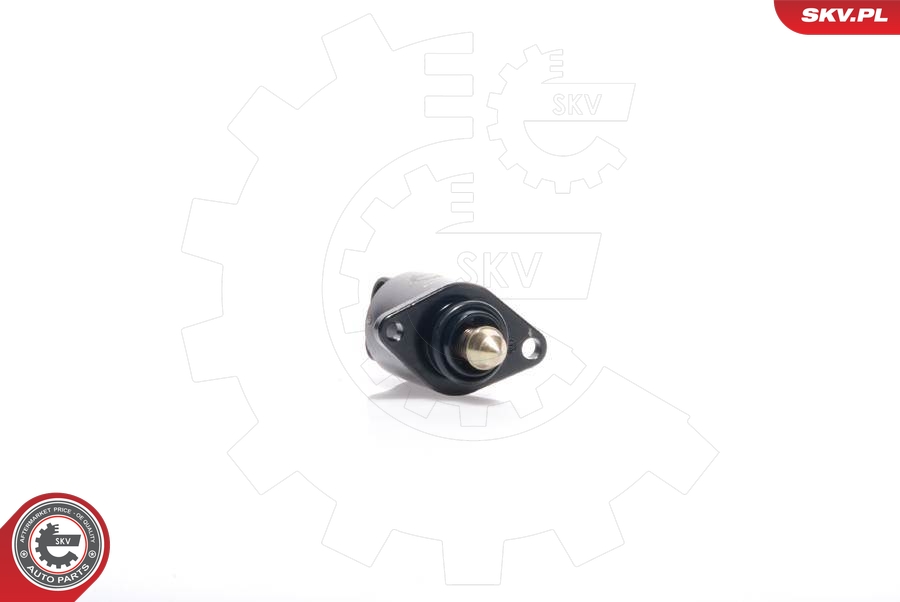 SKV 08SKV028