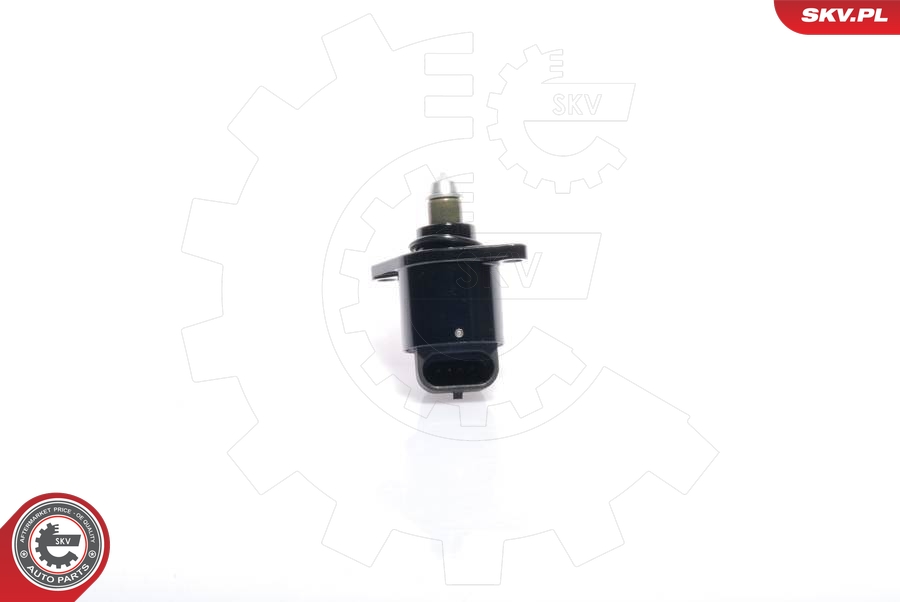 SKV 08SKV037