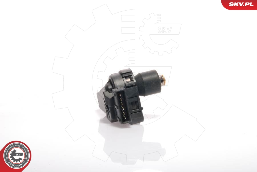 SKV 08SKV201