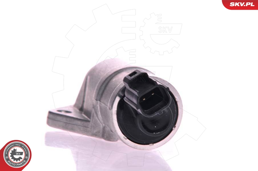 SKV 08SKV216