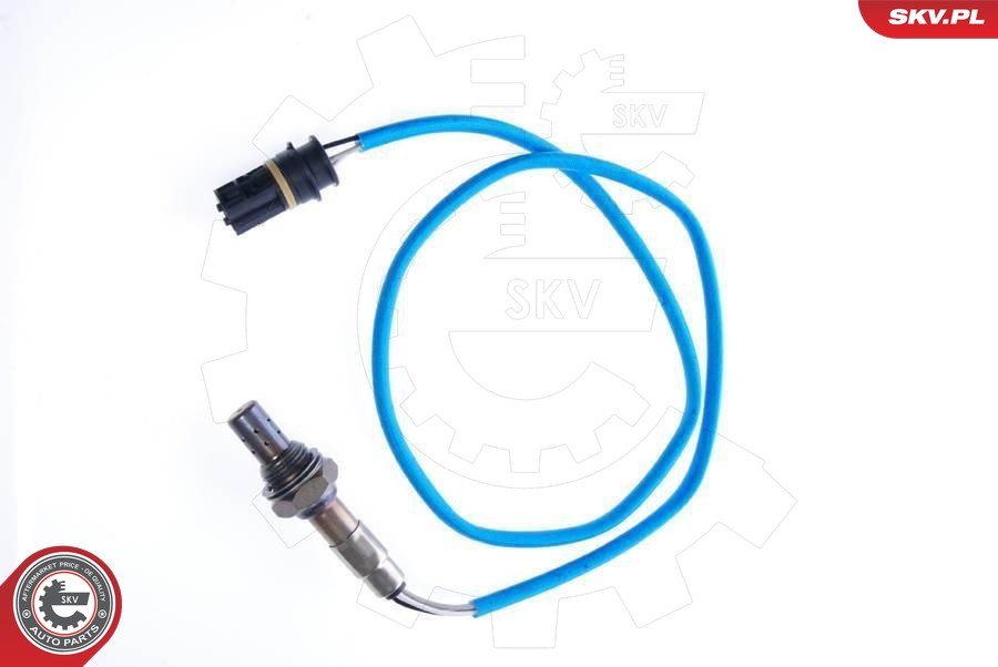 SKV 09SKV031