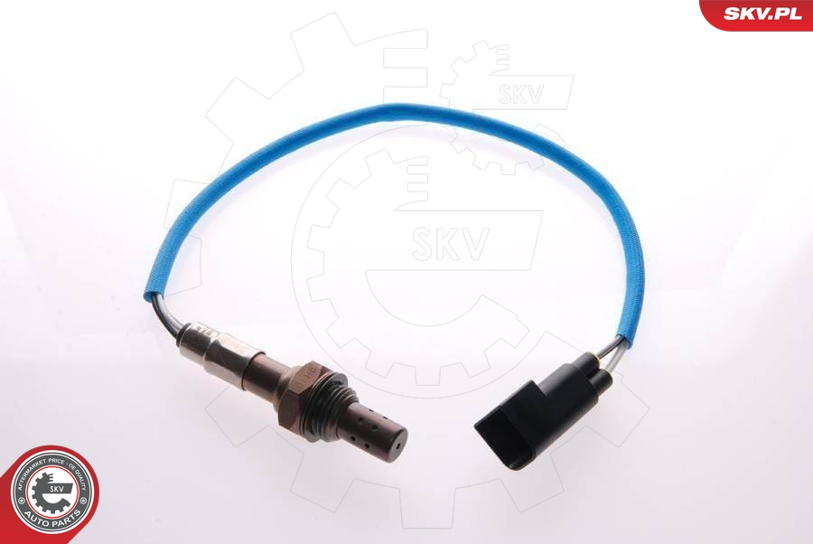SKV 09SKV034