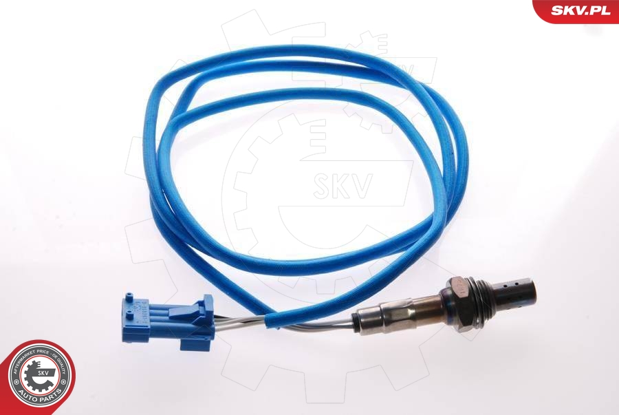 SKV 09SKV039