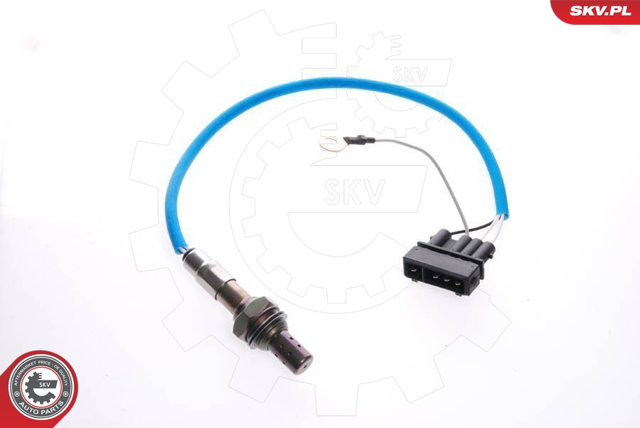 SKV 09SKV065