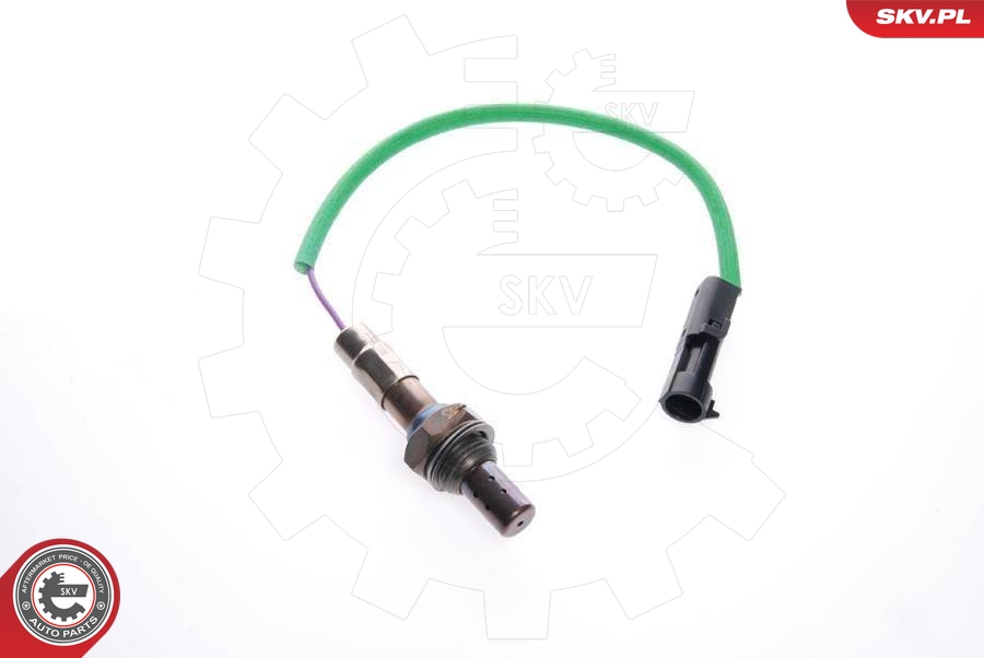 SKV 09SKV069