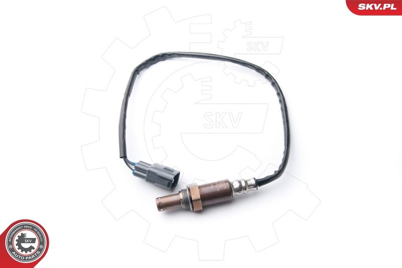 SKV 09SKV114