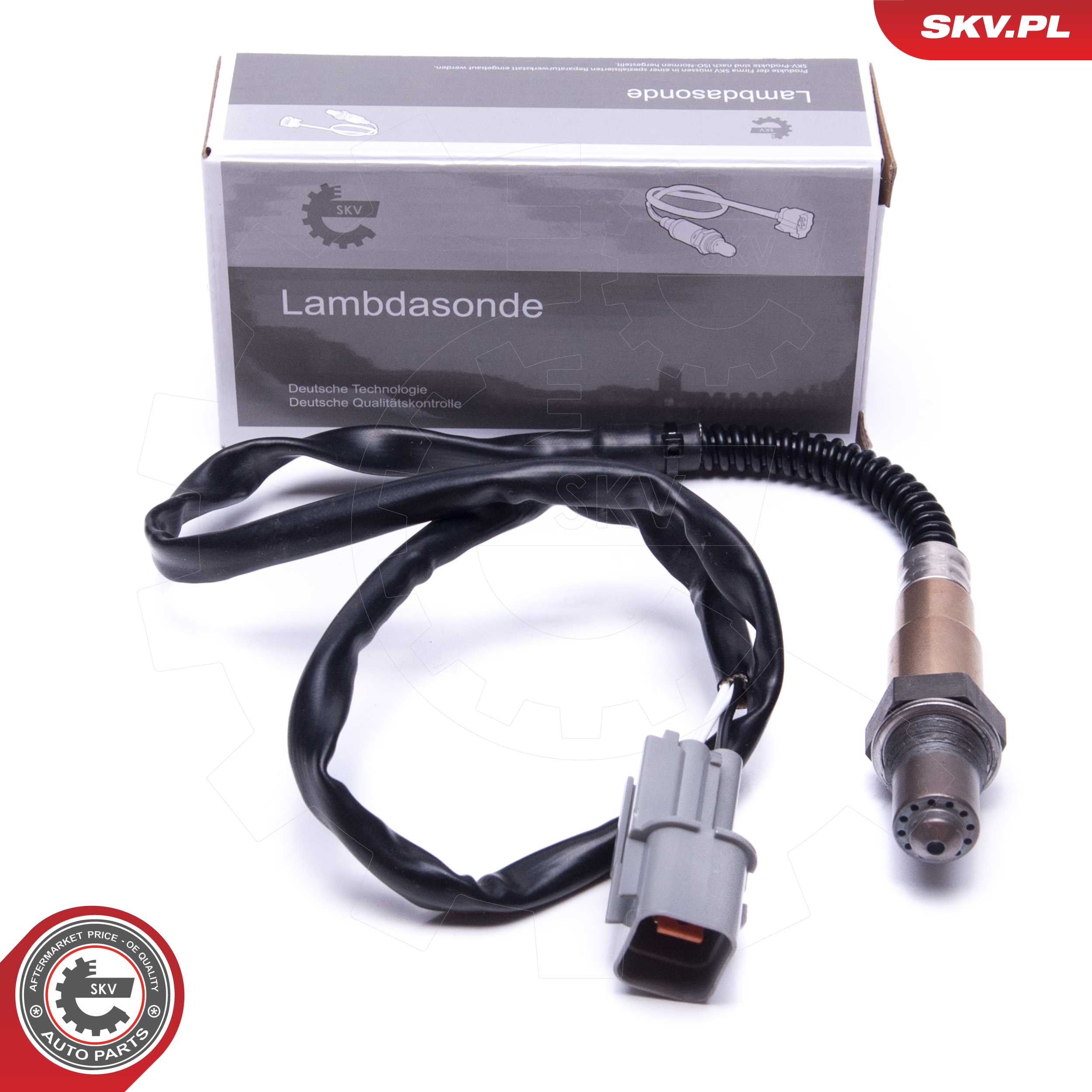 SKV 09SKV119