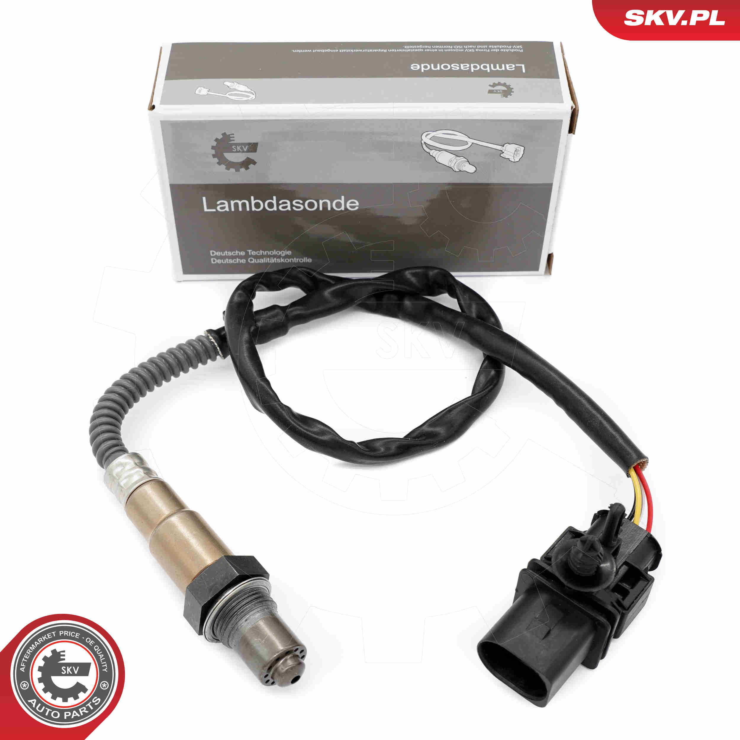 SKV 09SKV163