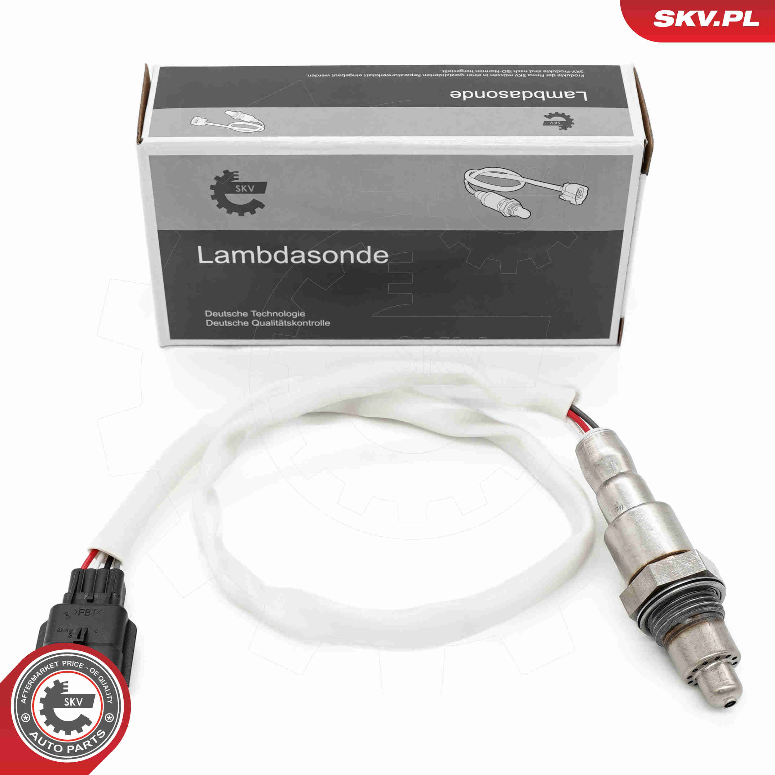 SKV 09SKV173