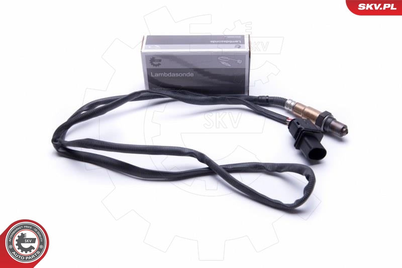 SKV 09SKV405