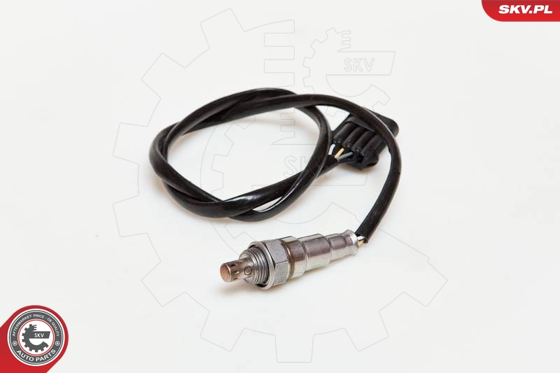 SKV 09SKV505
