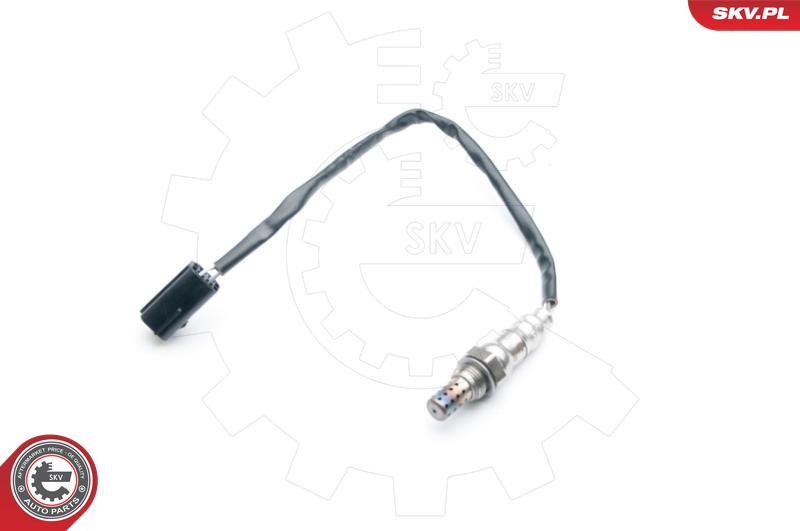 SKV 09SKV569