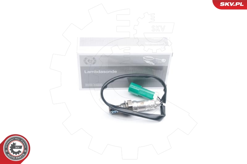 SKV 09SKV572
